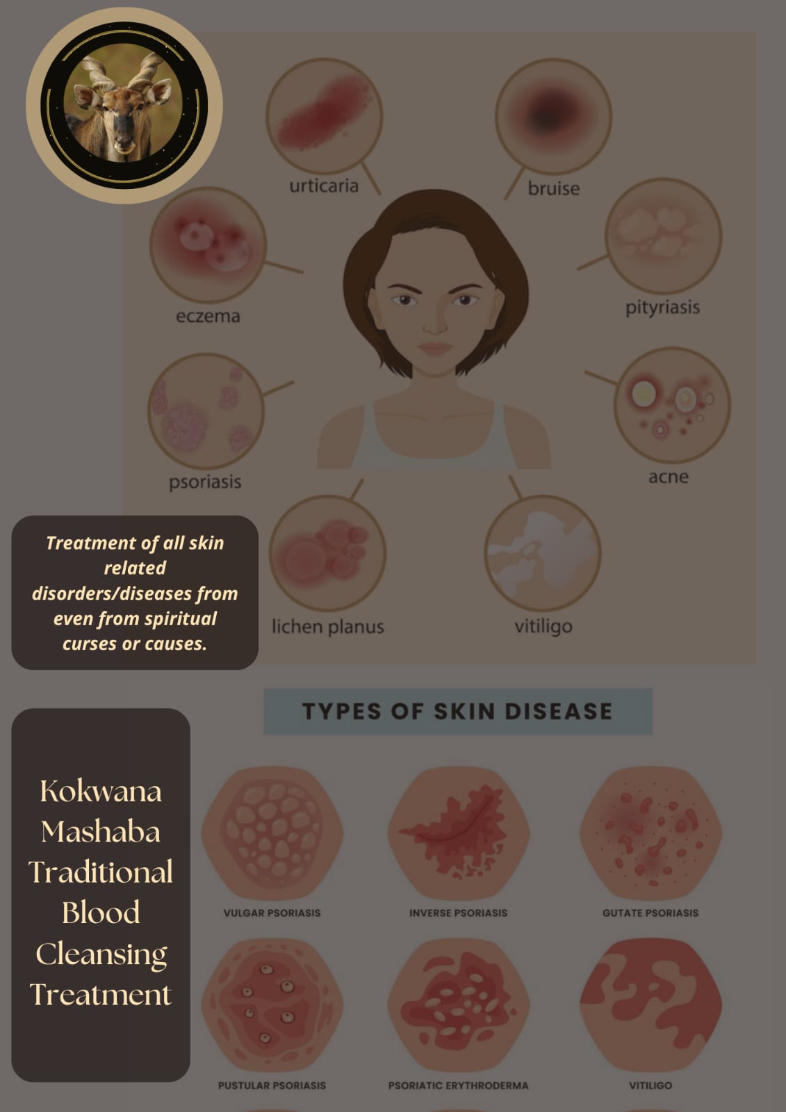 Skin Healing Balm Product